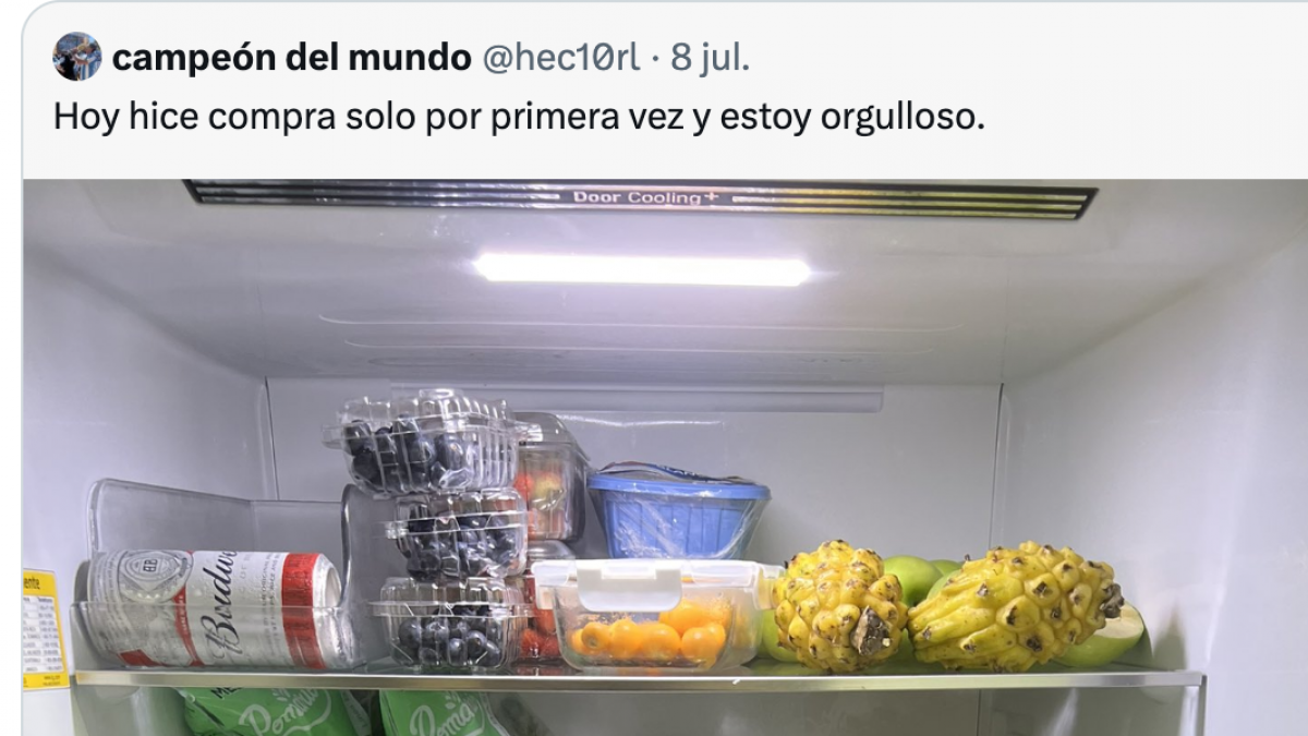 Nevera Samsung Modelo XYZ Refrigerador