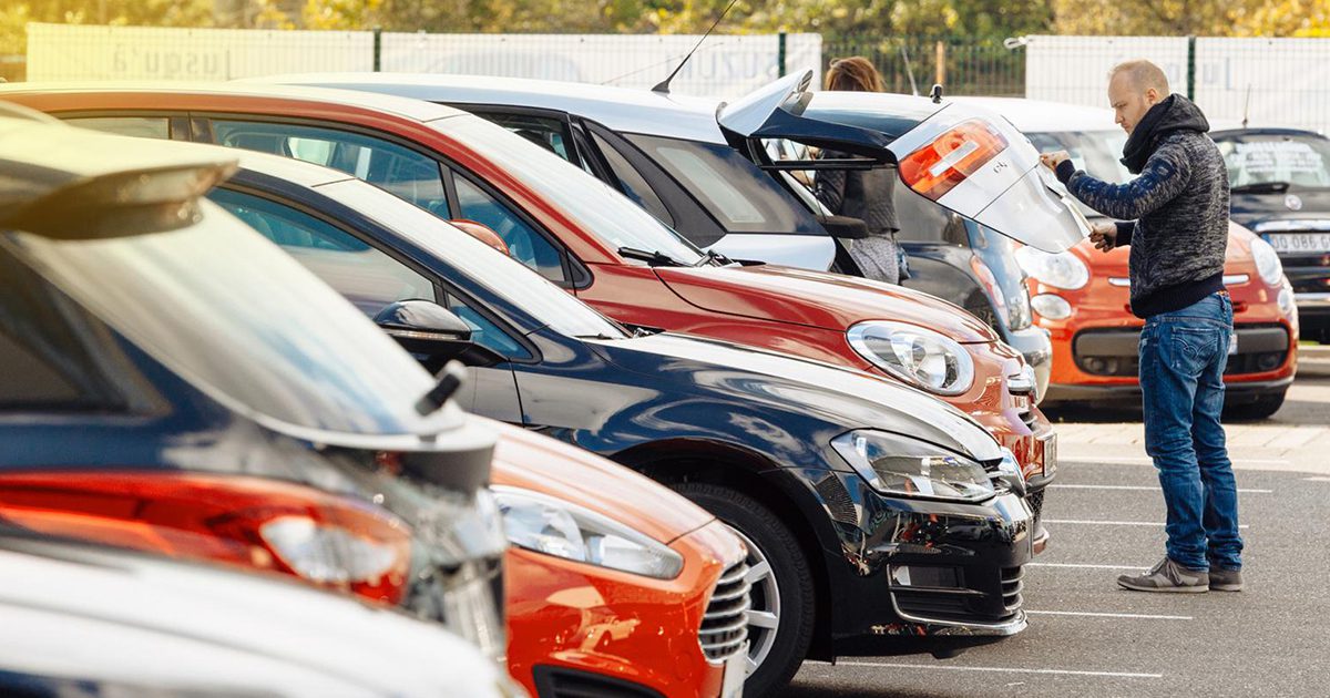 Marca Modelo Buscador de Imágenes en República Dominicana