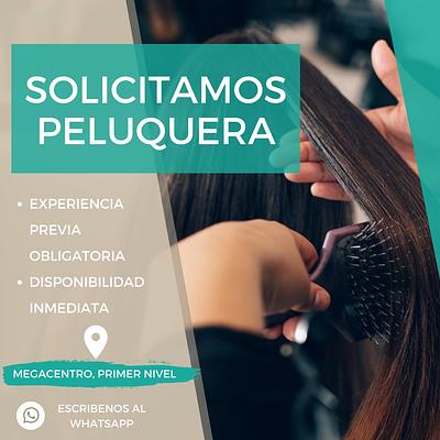 Peluqueras con experiencia para salón El Millón