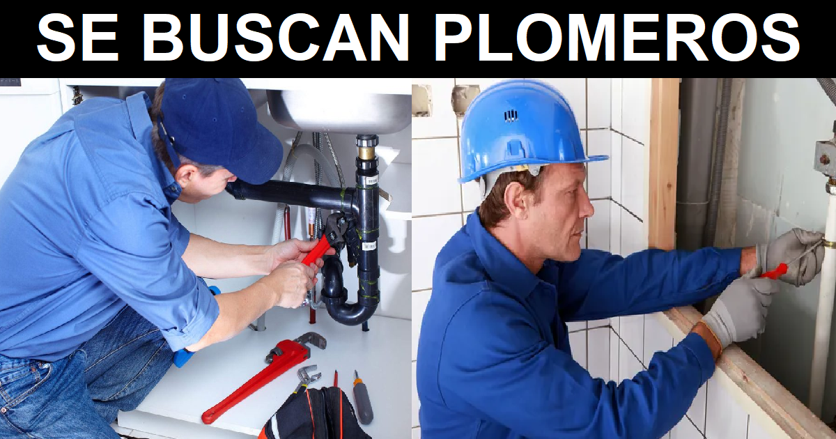 Plomero profesional solicitud de empleo