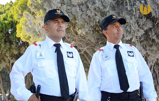 Oficial de Seguridad – Modelo Oficial