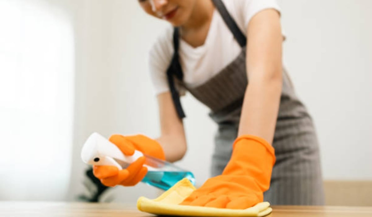Servicio de cuidado doméstico profesional