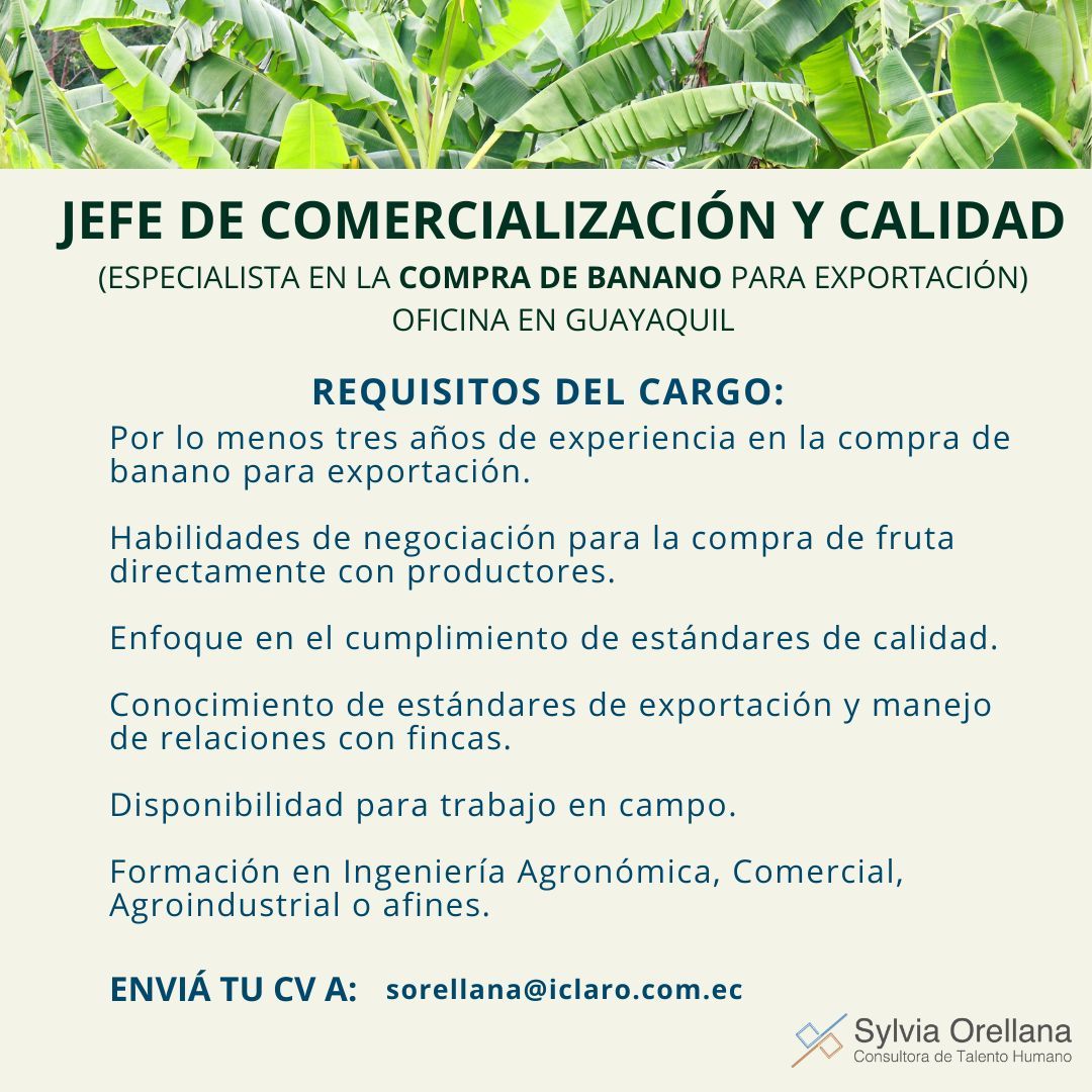 Solicitud de empleo personal