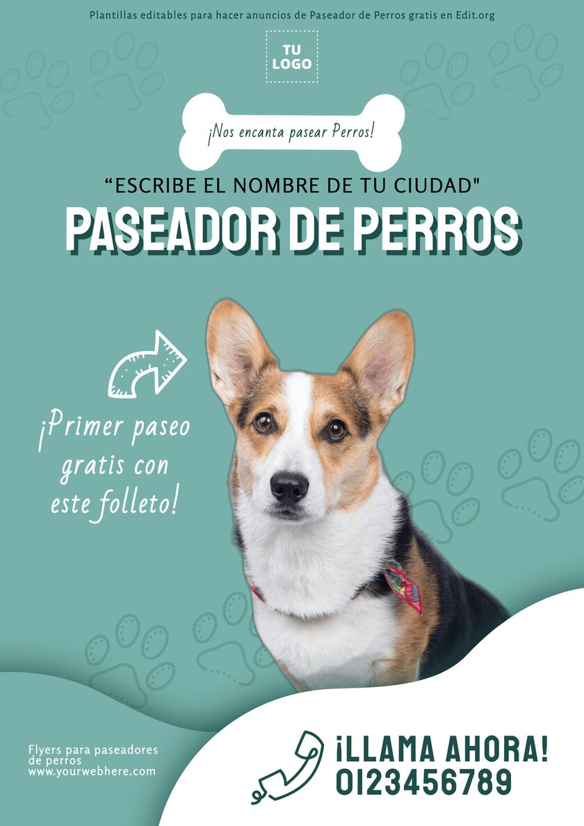 Paseador Profesional para Perros