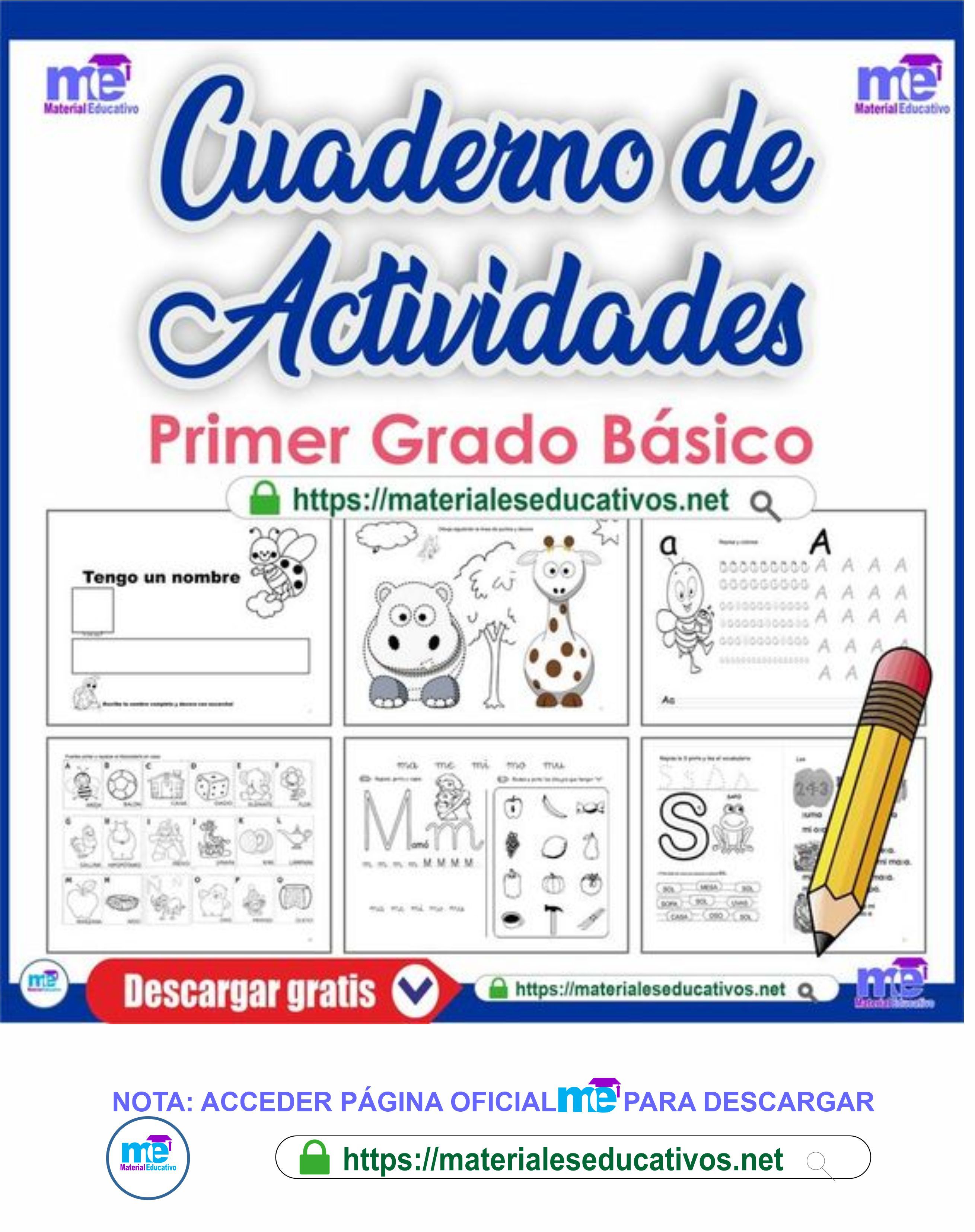 Maestro Primer Grado Básica