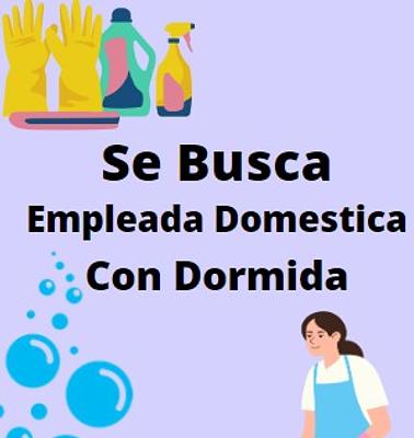 Solicitud Empleada Doméstica Santiago