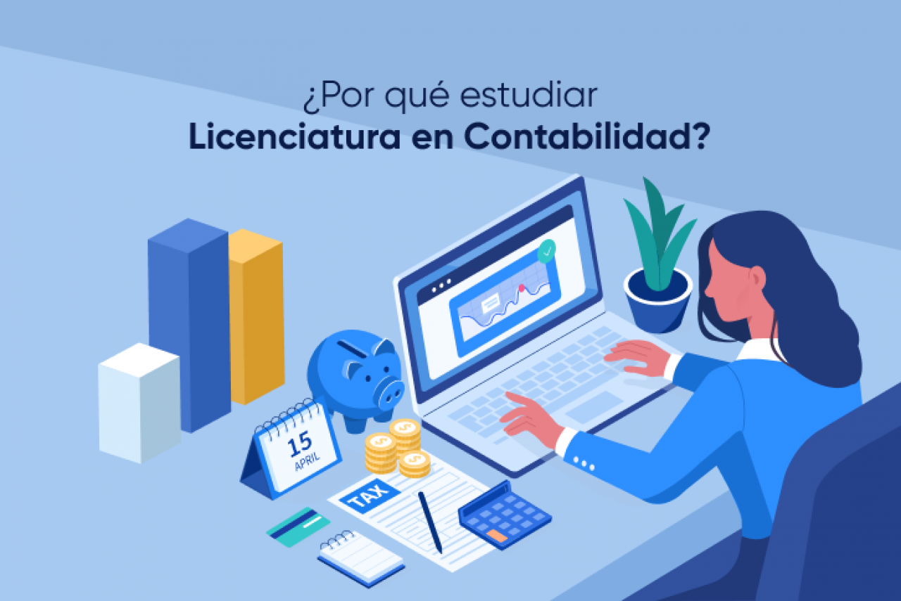 Contador Profesional - Gestión Financiera