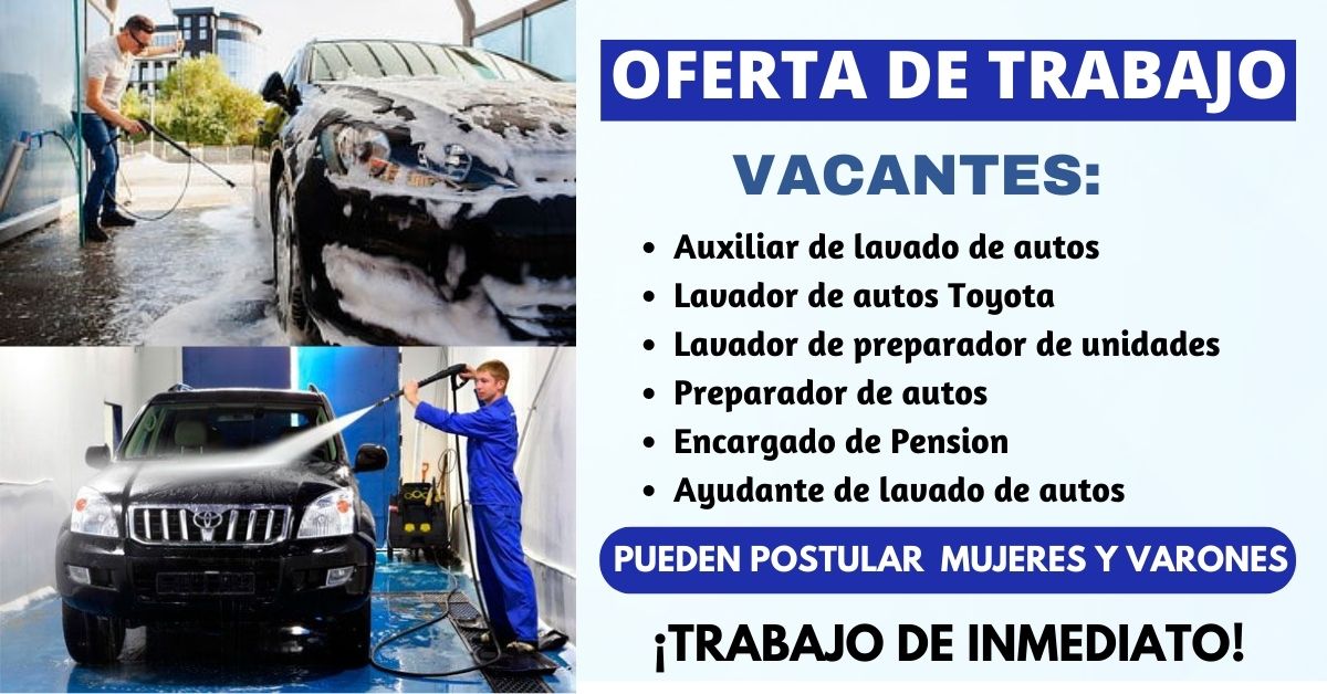 Teteo Carwash Lavador de Vehículos Experto