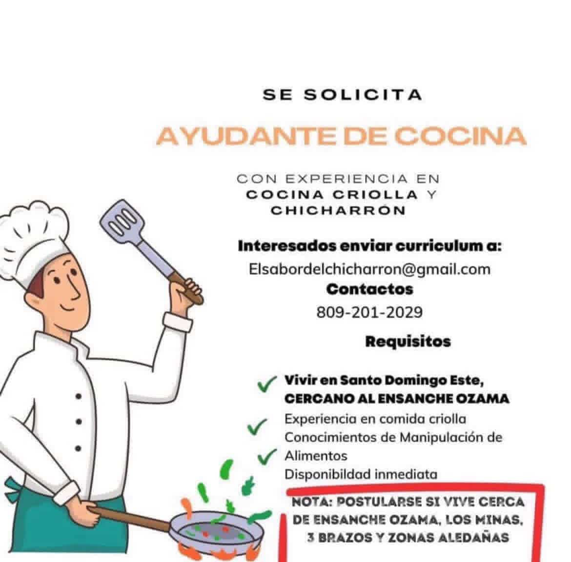 Ayudante de Cocina y Servicio Utilitys
