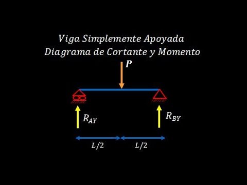 Asistente Administrativa Vehículos Experiencia